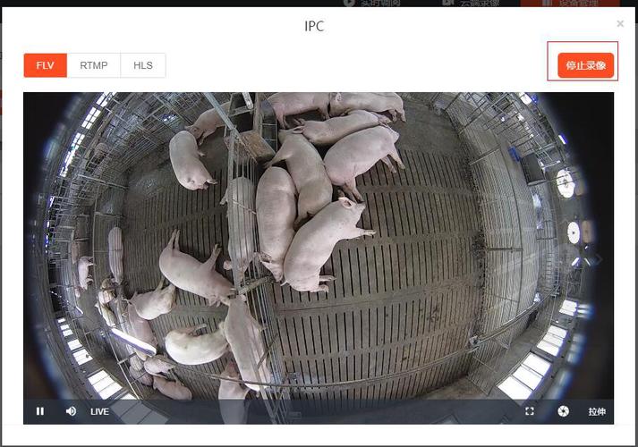 解决方案视频结构化智能畜禽养殖场养猪场视频监控的实